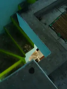 Tamil_mallu_love webcam