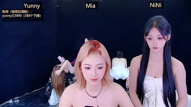 MiNi-U webcam