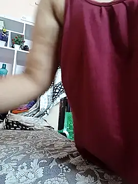 Hansikatelugu webcam