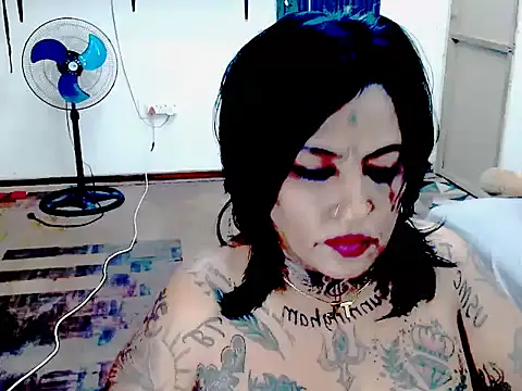 Indiancatz2 webcam