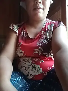 Ip34 webcam