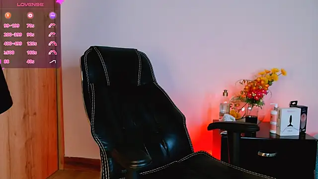 Dann-Winner webcam