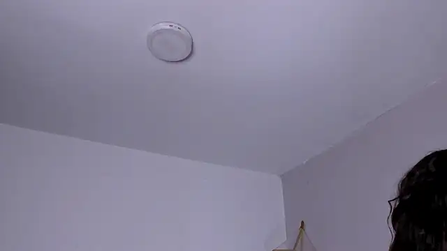 SusiMaison webcam