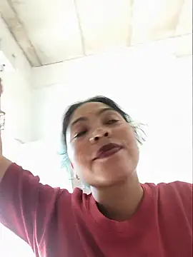 Jankisigh webcam
