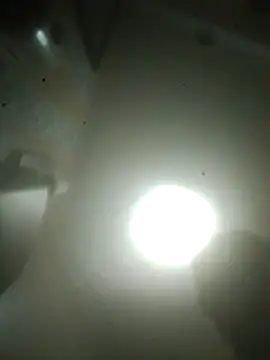 R-ant12 webcam