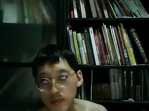 Lv8763 webcam