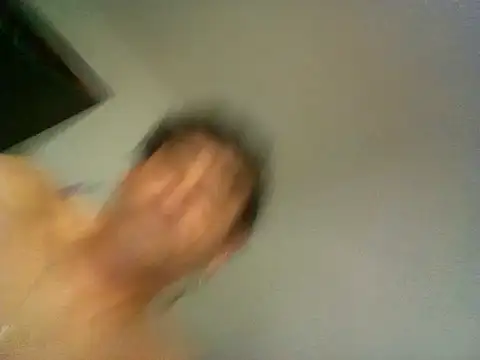 wa379 webcam