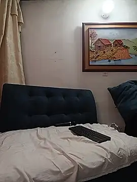 IsisBlake webcam