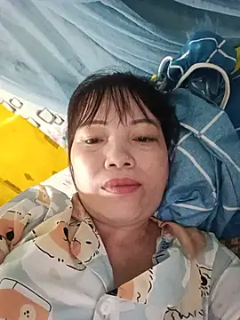 Sana-vn webcam