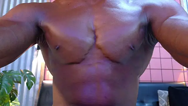 martin_killer webcam