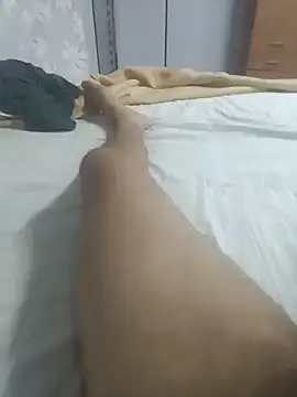 Sphynx010 webcam