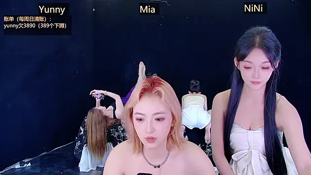 MiNi-U webcam