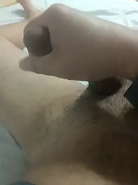 Sphynx010 webcam