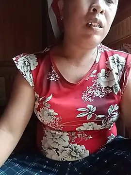 Ip34 webcam