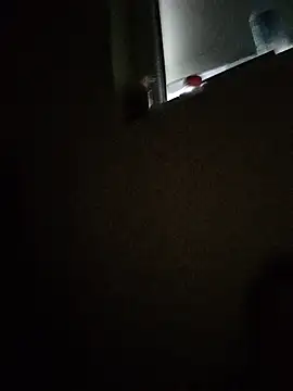 samo-zenee webcam