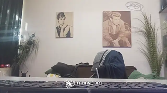 der_dino30 webcam
