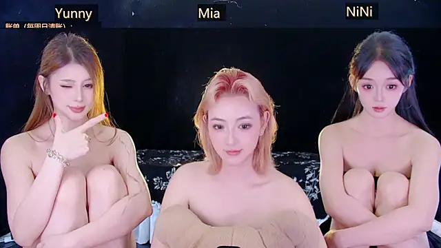 MiNi-U webcam