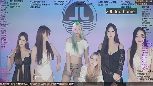 Sw-001 webcam