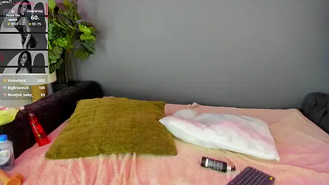 Abbyy_stone webcam