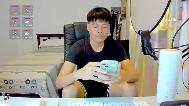 clarkdangerous webcam