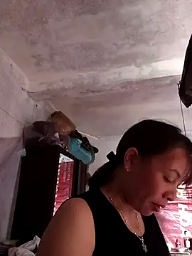 Stella-456 webcam
