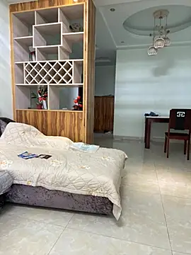 tianwei2567 webcam