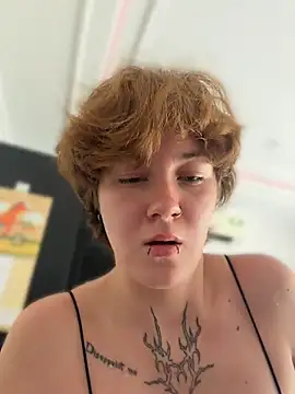 IceMur webcam