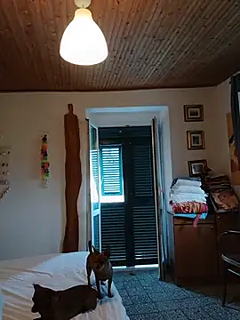CasalingaEccitata webcam