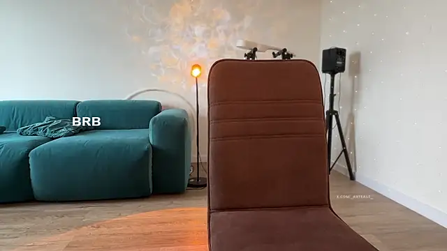 Arteasee webcam