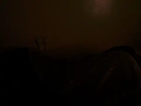Hot-nylah webcam