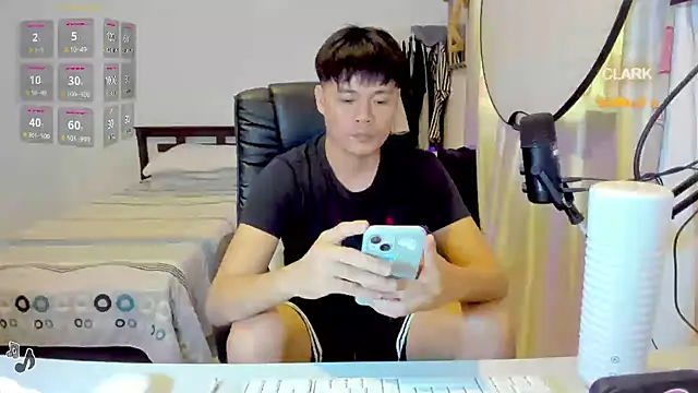clarkdangerous webcam