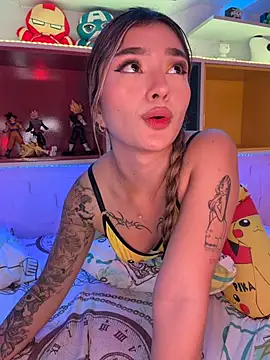 Arianavillada webcam