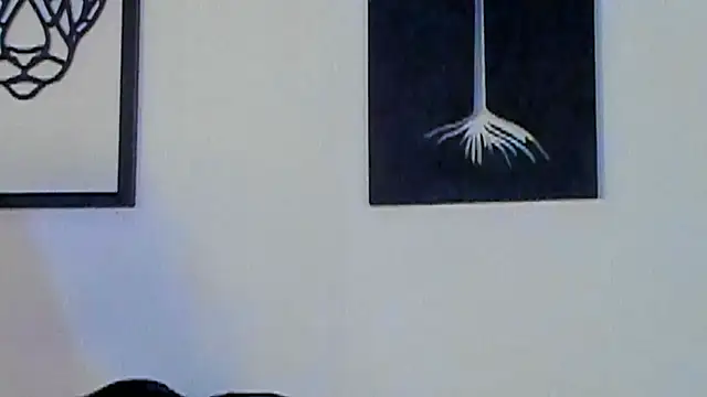 Justin_kingX7 webcam