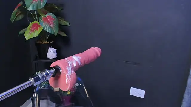 Amy_whittee webcam