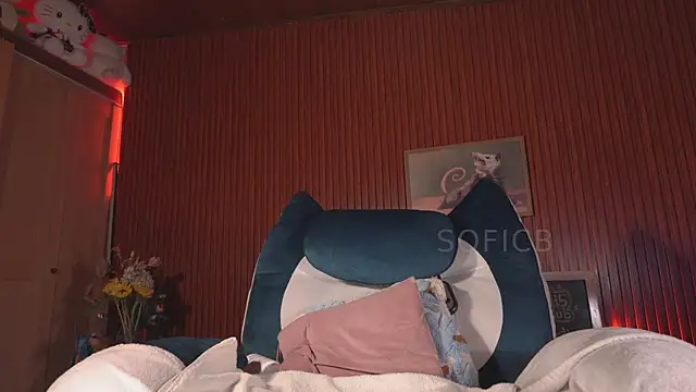 sofi_sc webcam