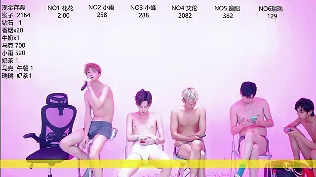 AAA-winner webcam