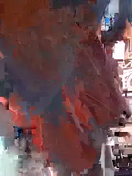 sebtin2411 webcam