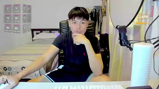 clarkdangerous webcam