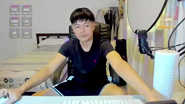 clarkdangerous webcam