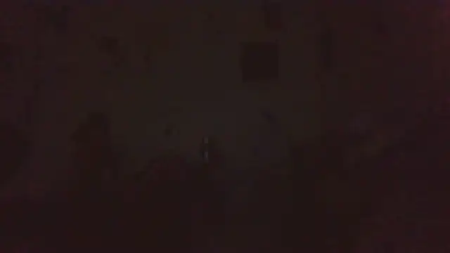 paradisejas webcam