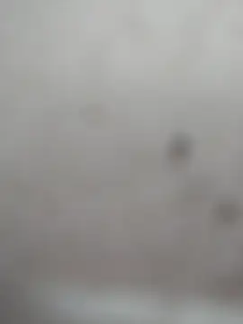 kavinila143 webcam