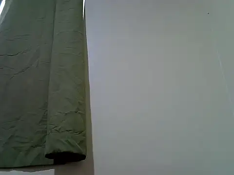 Jaisy2 webcam