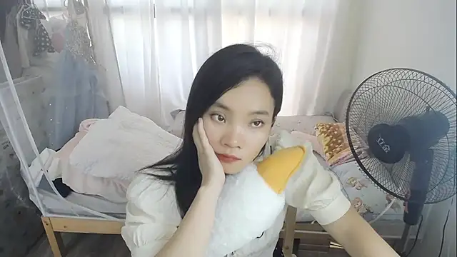 Shaurk webcam
