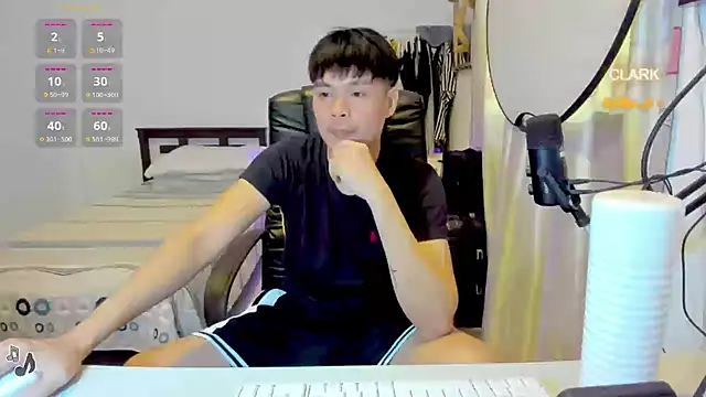 clarkdangerous webcam