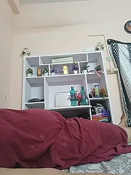 Hansikatelugu webcam
