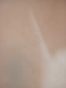 DaisyHarperr webcam
