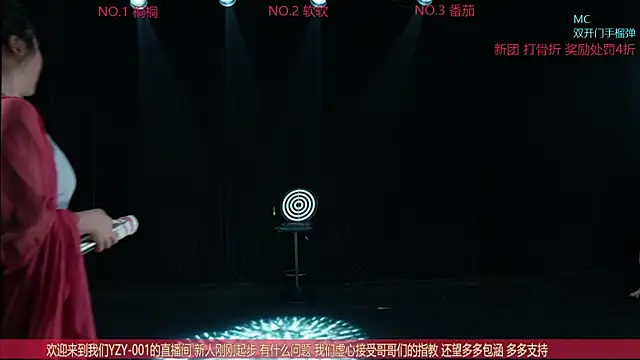 YZY-001 webcam