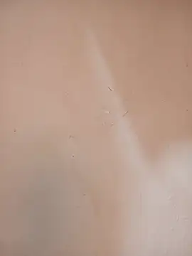 DaisyHarperr webcam