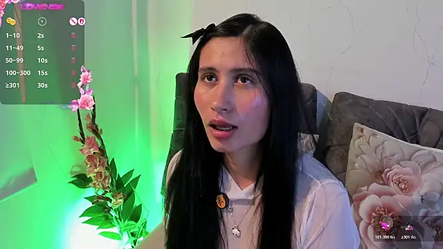 NayeCloud webcam