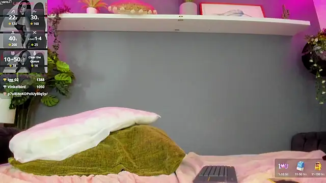 Abbyy_stone webcam